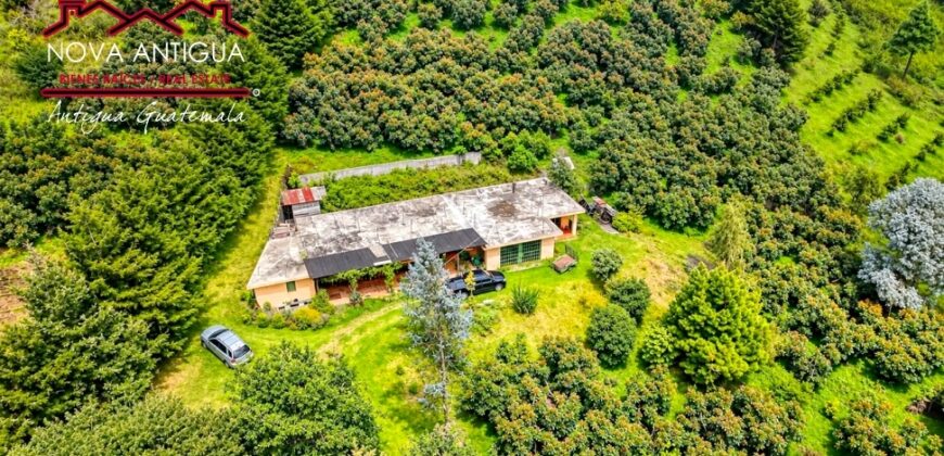 CH22 – Farm for sale | in Calderas