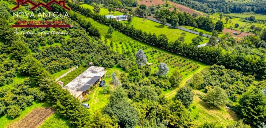 CH22 – Farm for sale | in Calderas