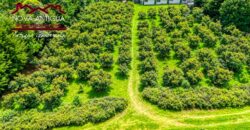 CH22 – Farm for sale | in Calderas
