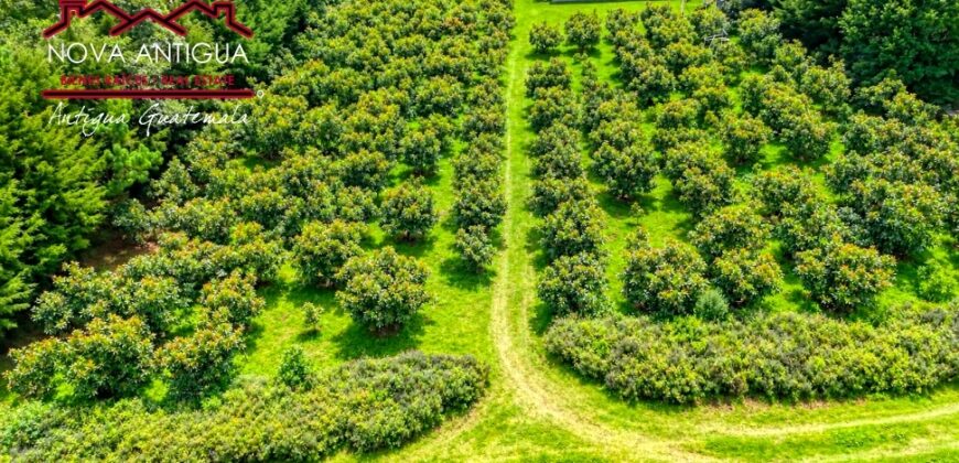 CH22 – Farm for sale | in Calderas