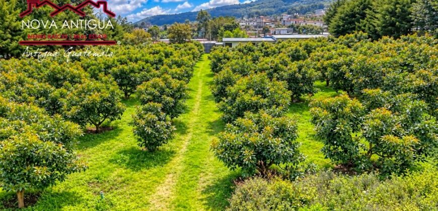 CH22 – Farm for sale | in Calderas