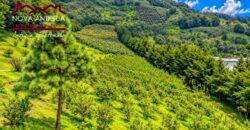 CH22 – Finca en venta | en Calderas
