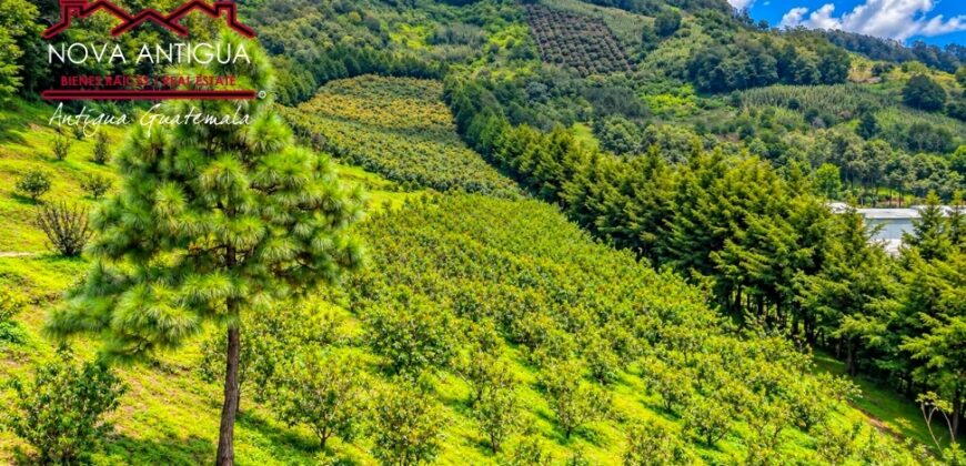 CH22 – Finca en venta | en Calderas