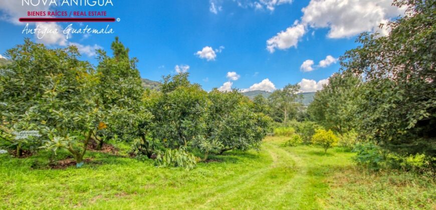 CH22 – Farm for sale | in Calderas