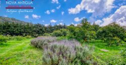 CH22 – Farm for sale | in Calderas