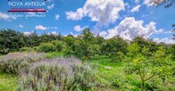 CH22 – Finca en venta | en Calderas
