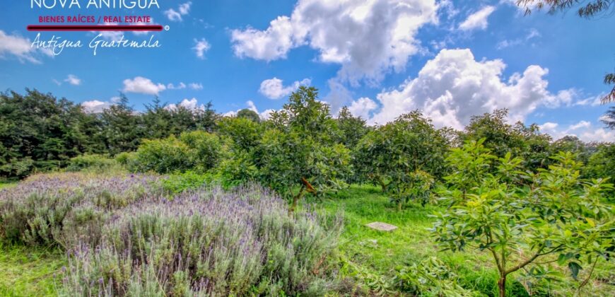 CH22 – Finca en venta | en Calderas