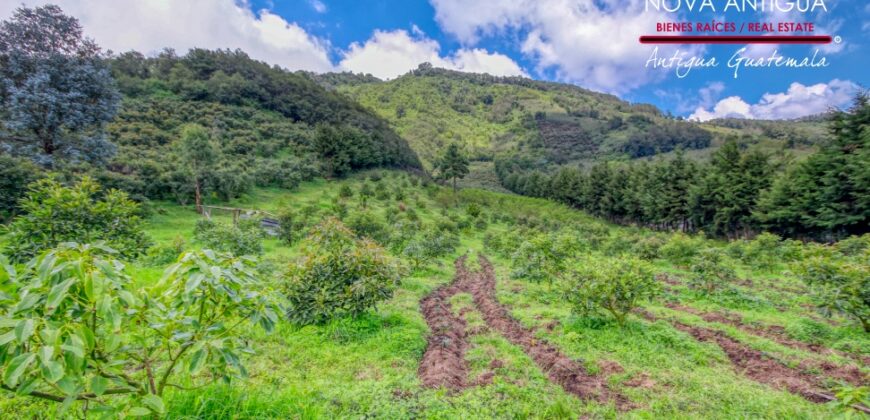 CH22 – Farm for sale | in Calderas