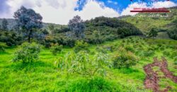 CH22 – Farm for sale | in Calderas