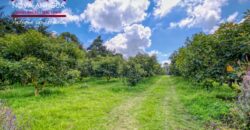 CH22 – Finca en venta | en Calderas