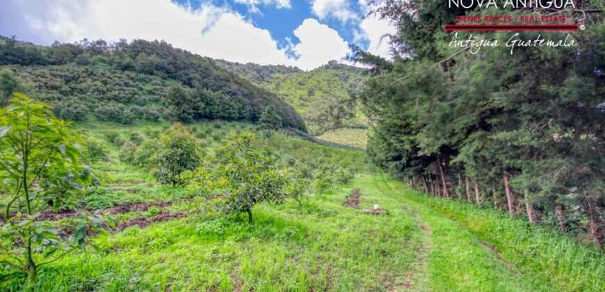 CH22 – Farm for sale | in Calderas