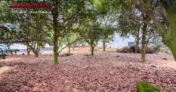 T453 – Terreno En Venta Hacienda El Comendador