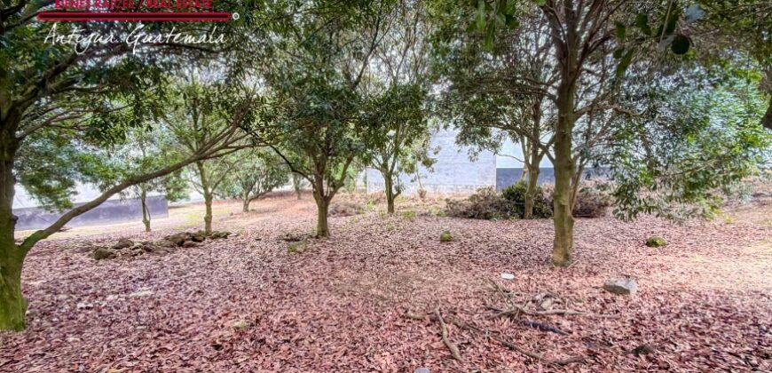 T453 – Land for Sale in Hacienda El Comendador