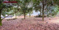 T453 – Terreno En Venta Hacienda El Comendador